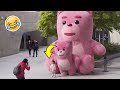 [PRANK]Giant pink bear Statue Prank | in Korea funniest reactions.