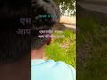 Raja Rangbaaz#shortvideo #bhojlpuri shong# jindagi ek aisa rang