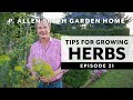 Easy to Grow Herbs | Garden to Kitchen: Garden Home VLOG (2019) 4K