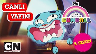 🔴CANLI 🔴 GUMBALL | 5. Sezon Tüm Bölümler | Cartoon Network Türkiye