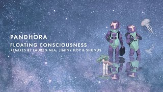 Pandhora - Ataraxia (Shunus Remix) Resimi