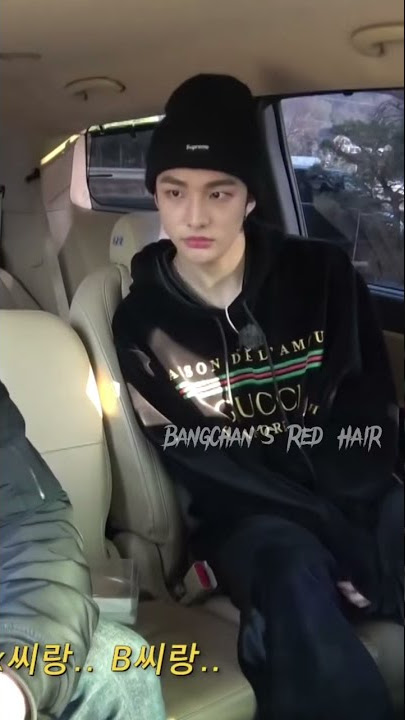 StrayKids Members are being Pranked by Fake Police 😭 their reactions... #skz #straykids #prank