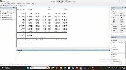 ANALISIS DATA PANEL MENGGUNAKAN APLIKASI STATA