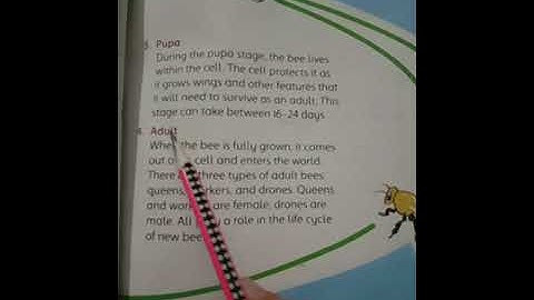 CLASS 3   Science   Lecture 5 unit#2 part C