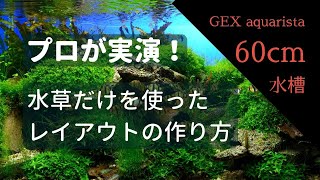 【プロが実演】水草だけを使った水草レイアウトの作り方 ＝水草の下処理、植え方を実際にお見せします！＝