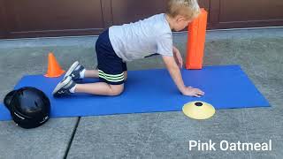 Quadruped reach with items from around the home