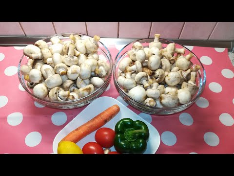 Vidéo: Comment Conserver Les Champignons Frais