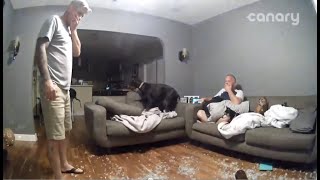 Dog Slams Through Glass Table