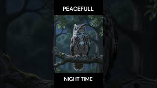 Night Forest Owl Sounds 🦉🌙 Peaceful Nature Ambience for Sleep & Relaxation