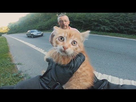 Video: Pet Scoop: Singer Mäso Loaf zachráni šteňa na turné, motocyklista šetrí mačiatko z prevádzky