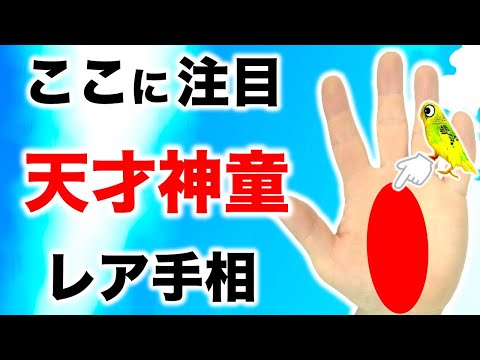 【手相】この線がある人は早熟天才【切り抜き】