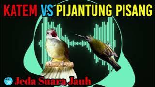 katem vs pijantung