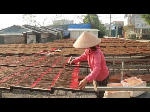 دهکده عود در ویتنام تولید چوب های عود برای سال نو چینی