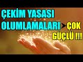 Ekm yasasi olumlamalari  ok gl mistikyol ekimyasas olumlamalar meditasyon