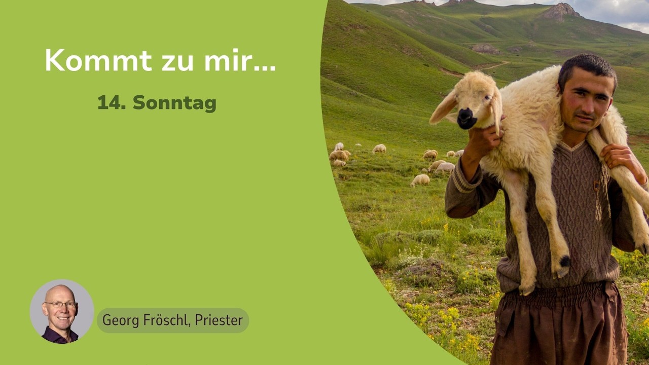 Wo kann Vertrauen wachsen?
