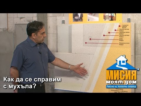 Видео: Как да се отървете от мухъл със собствените си ръце?