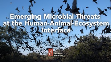 Emerging Microbial Threats at the Human-Animal-Ecosystem Interface by James Hughes, MD