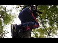 Как залезть на дерево по-медвежьи