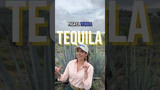 Que me pasen un tequila y un guaro también!!! ??❤️?? #tequila #jalisco #cumbia #mexico