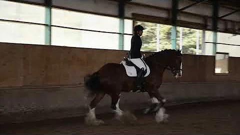 Leah Everson on Lebra's Beau Marmotte