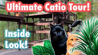 The Ultimate Catio Tour: A Look Inside Two Custom Cat Enclosures!