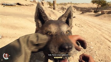 When the game developers get lazy...