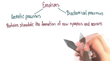 Memory processes and emotions - Intro to Psychology
