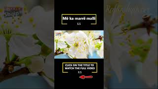 Më ka marrë malli #party  #kengetare #remix #music #dj #love #automobile  #albania #poem #poetry