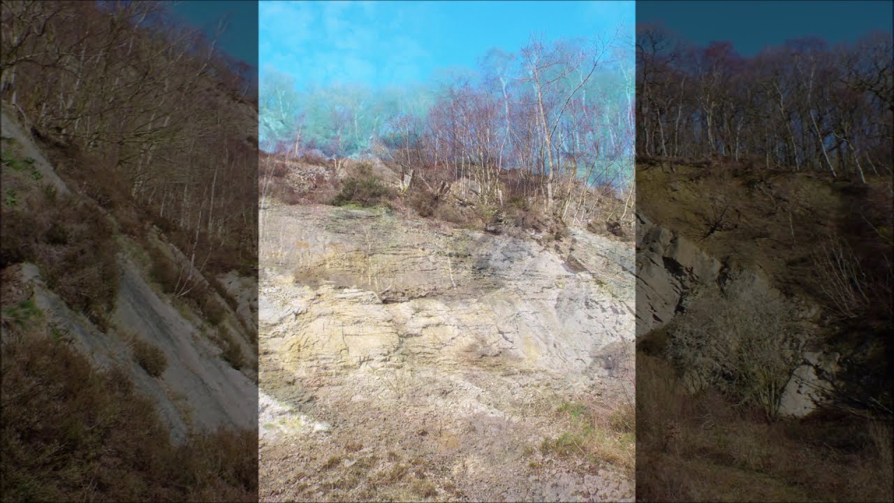 Ercall Wood, LNR, The Wrekin, Shropshire