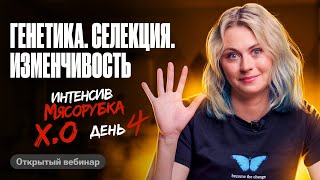 картинка: Мясорубка день 4.  Генетика. Селекция. Изменчивость | ЕГЭ по биологии | Ксения Напольская