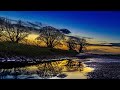 小林 旭 - 水たまり