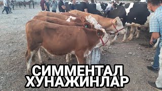 ANDIJON SHAXRIHON CHÒJA MOL BOZORI NARXLARI 2021 АНДИЖОН ШАХРИХОН ЧУЖА МОЛ БОЗОРИ НАРХЛАРИ СИММЕНТАЛ ANDIJON SHAXRIHON CHÒJA MOL BOZORI NARXLARI 2021 АНДИЖОН ШАХРИХОН ЧУЖА МОЛ БОЗОРИ НАРХЛАРИ СИММЕНТАЛ