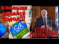 В ПОЛЬШЕ НАЧАЛСЯ ГОЛОД! КАК ЗАЯВИЛ ЛУКАШЕНКО. ЗАШЕЛ В ПОЛЬСКИЙ МАГАЗИН В ПОИСКАХ ГРЕЧКИ И СОЛИ