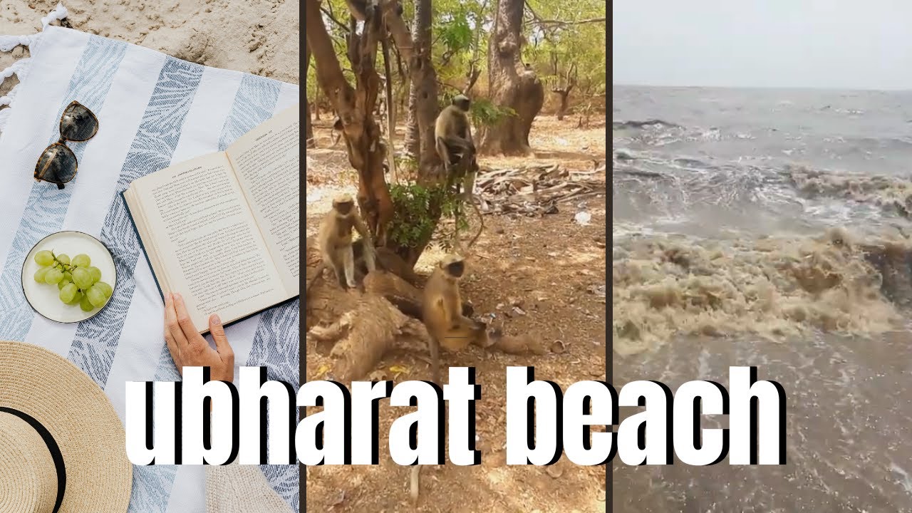 Ubharat Beach Navsari || Ubharat Beach 2024 || Near Maroli ||