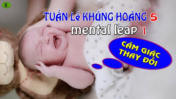 TẠI SAO Em Bé Ra Tháng Sẽ Quấy Hơn? Tuần Lễ Khủng Hoảng 5-Mental Leap 1 |Lynn Vo Pregnancy