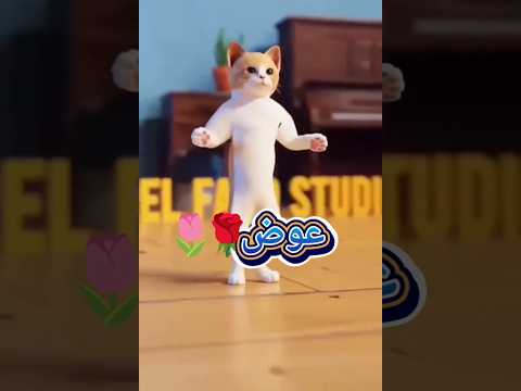 جديد عوض العراق السعودية قطر الامارات الكويت البحرين اليمن عوض   الجزائر جديد 