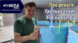 Сколько стоит УЗВ на осетра16м3. Про деньги #узв #рыба #бизнесвдеревне #акварост