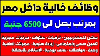 10 وظائف خالية داخل مصر بتاريخ اليوم بمرتب يصل الى 6500 جنية - وظيفتك تهمنا