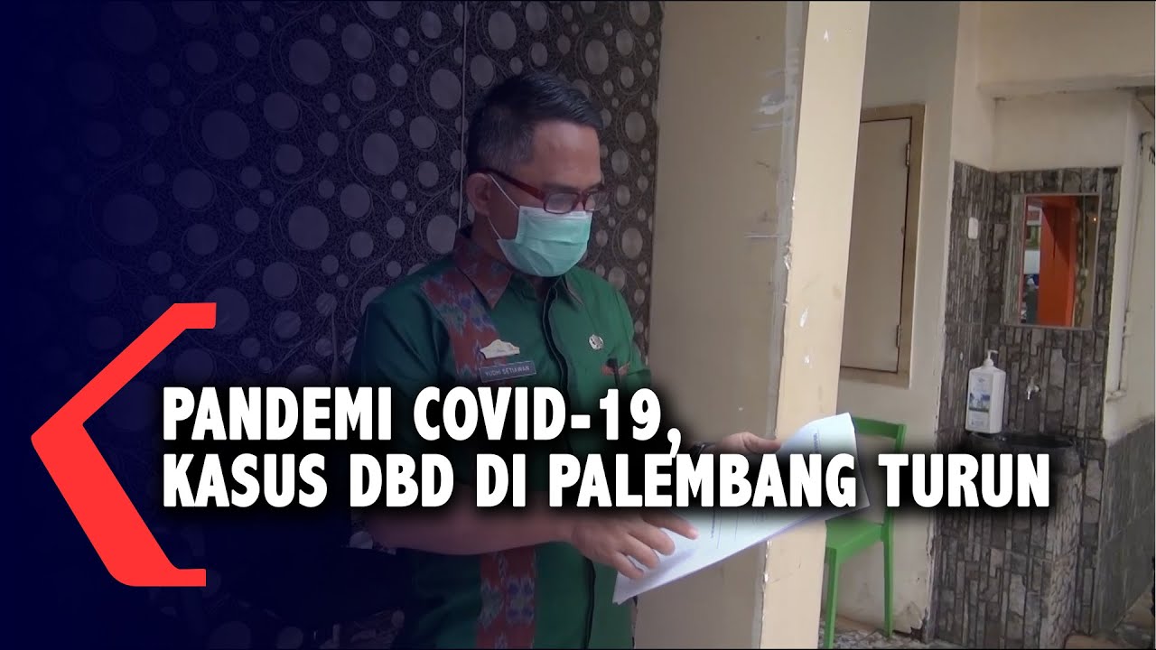 Pandemi Covid-19, Kasus DBD Di Palembang Turun