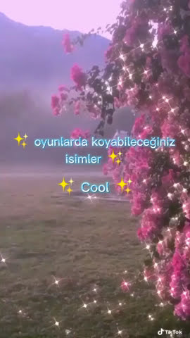 ✨ Oyunlarda kullanabileceğiniz isimler ✨