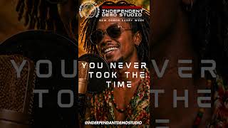 You Never Took the Time — Slow Reggae Cover