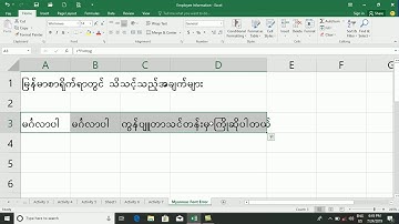 9 Myanmar Typing Error Fix in Excel