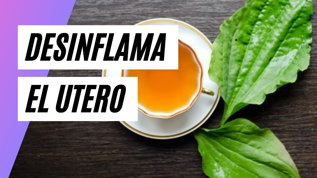 Te para desinflamar tu útero - YouTube