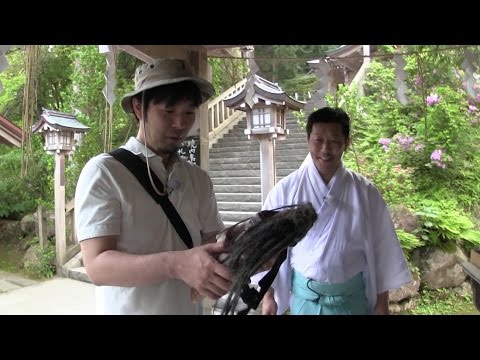 真山神社 なまはげゆかりの神社に来ました 男鹿半島をゆく 秋田 男鹿 第87回 はじまるスタジオトライアル Youtube