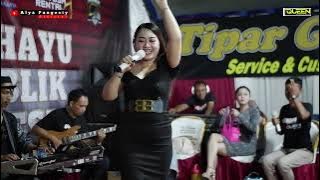 PERCUMA - COVER LIVE ALYA PANGESTY FEAT OQINAWA