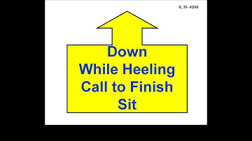 206. Down While Heeling -  Call to Finish – Sit  Version 1