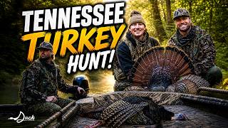 Public Land Turkey Hunting in Tennessee