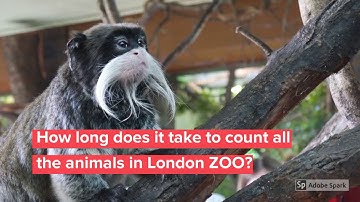 How the London Zoo deals with the mammoth of counting all the animals