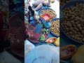 petualangan cari ayam #trending
