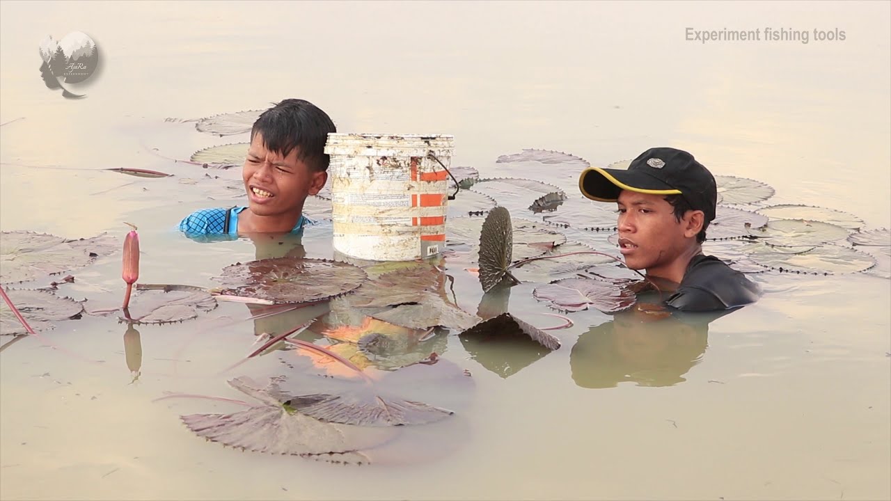 Experiment Very Nice Catching Catfish In Mud_Under Water Lily Leaves At Giant Lake In Kampong